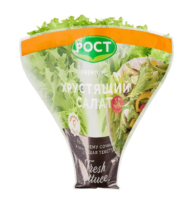 Салат хрустящий зеленый в горшочке РОСТ 1шт