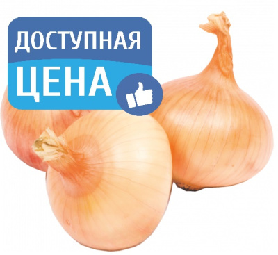 Лук репчатый вес