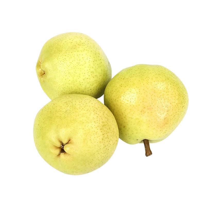 Груша весовая