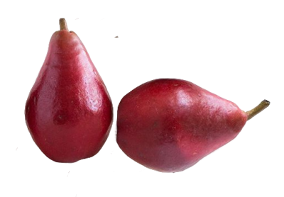 Груша Красная Конференция вес