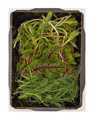 Салатный микс 100г