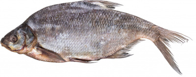 Лещ вяленый РОСТ вес