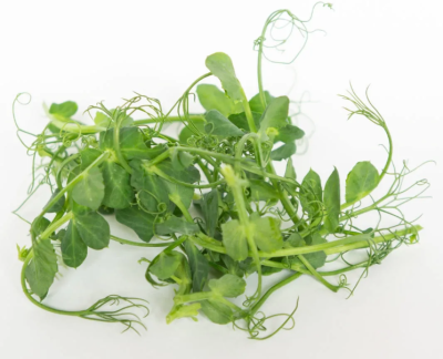 Микрозелень гороха 70г