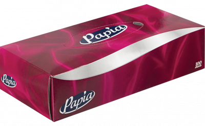 Салфетки бум Папиа 2-сл А100 вытяжные