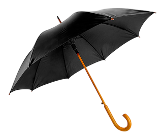 Зонт-трость 1248