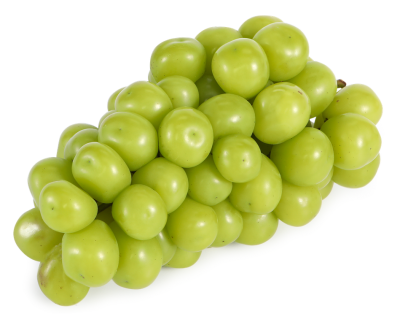 Виноград Шайн мускат вес