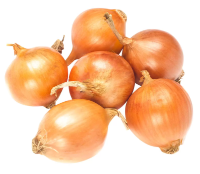 Лук фермерский 500г Калининградская область