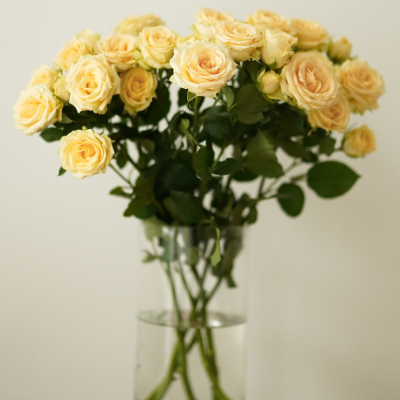 Букет кустовой розы 50см 9 шт в ассортименте Протея