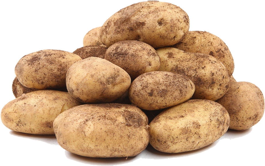 Урожай картофеля массой. Картофель, 1 кг. Картофель белый. Картофель (новый урожай) Россия. Картофель весовой.