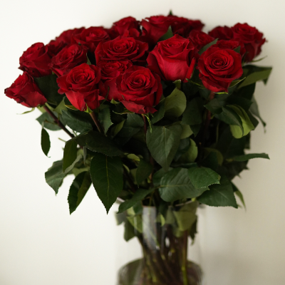 Букет красных роз 60 см 25 шт Протея