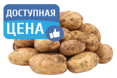 Картофель молодой вес