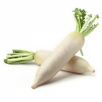 Редис Дайкон весовой