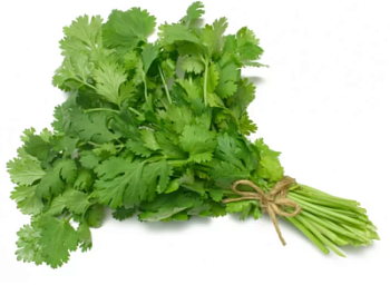 Кинза 50гр Фермерский