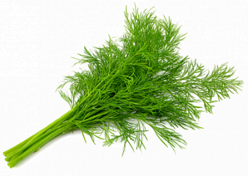 Укроп 80г