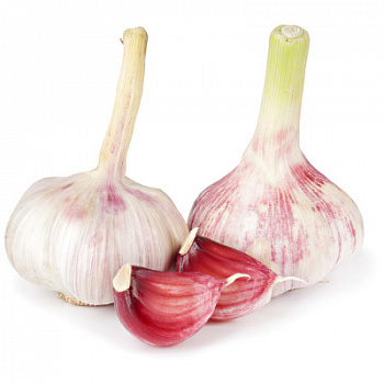 Чеснок молодой вес