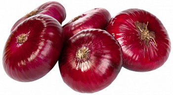 Лук Ялтинский вес