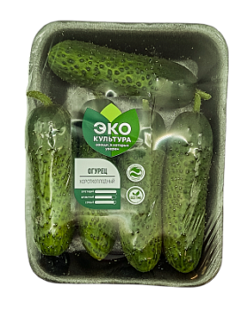 Огурцы короткоплодные Эко-культура 450г