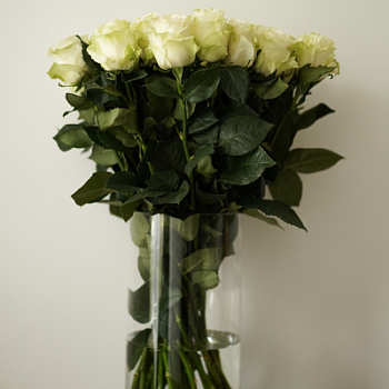 Букет белых роз 60см 25шт Протея