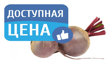 Свекла вес Калининградская область