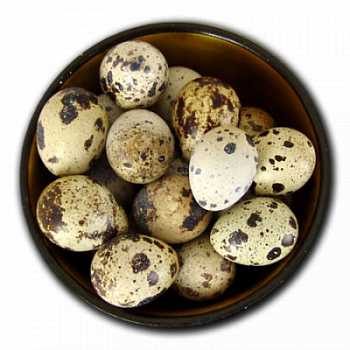 Яйцо перепелиное SPAR 20шт