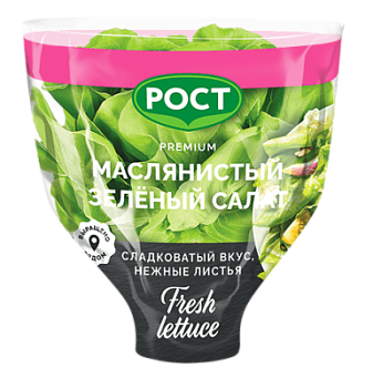 Салат маслянистый зеленый в горшочке РОСТ 1шт