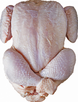 Цыпленок бройлер ПФ ЦЕХ
