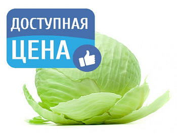 Капуста вес