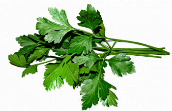 Петрушка 50гр