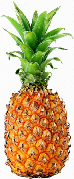 Ананас 1шт