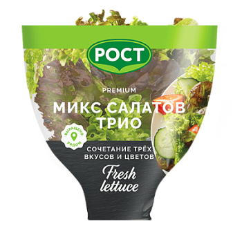 Салат Трио в горшочке РОСТ 1шт