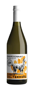 Вино Сабио Дель Терруньо Шардоне Валле Централь бел сух 0,75л 12,5%