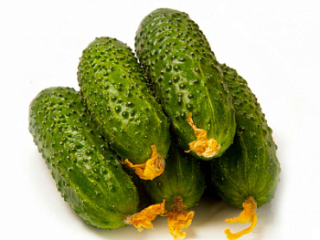 Огурцы Меринда вес Россия