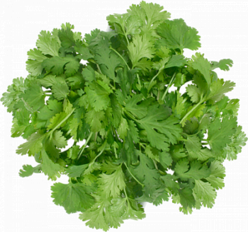 Петрушка 80г