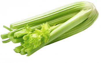 Сельдерей стебли вес