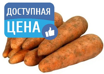 Морковь весовая