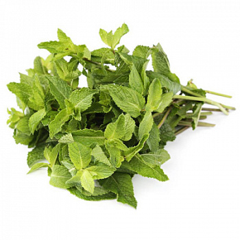 Зелень свежая Мята 50г