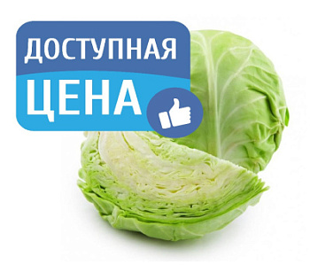 Капуста молодая вес