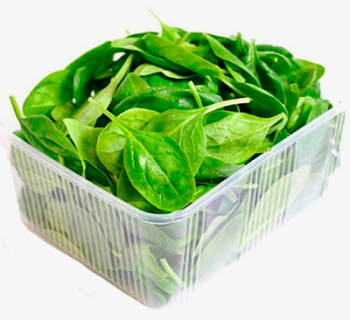 Шпинат 1/125г