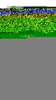 Чай SPAR Эрл Грей черный 100г