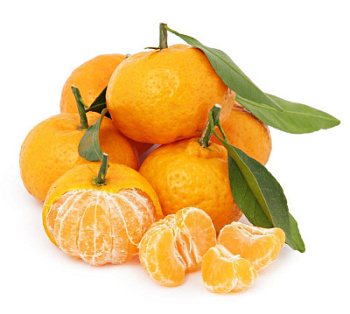 Мандарины на ветке вес